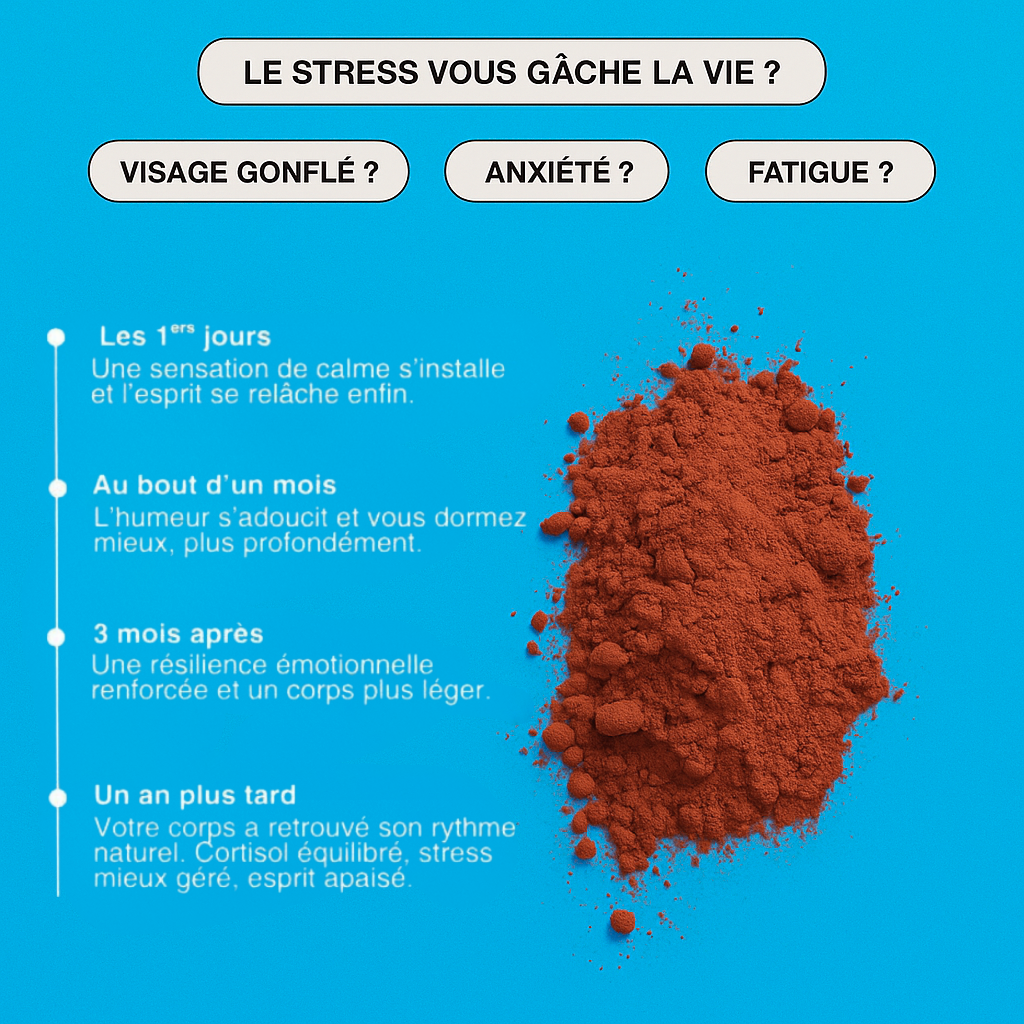 Équilibre et bien-être au quotidien